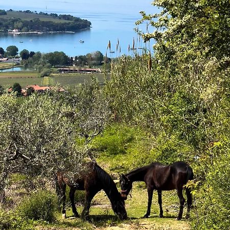 Na Kmetiji S Konji - Pogelsek Ankaran Exterior foto