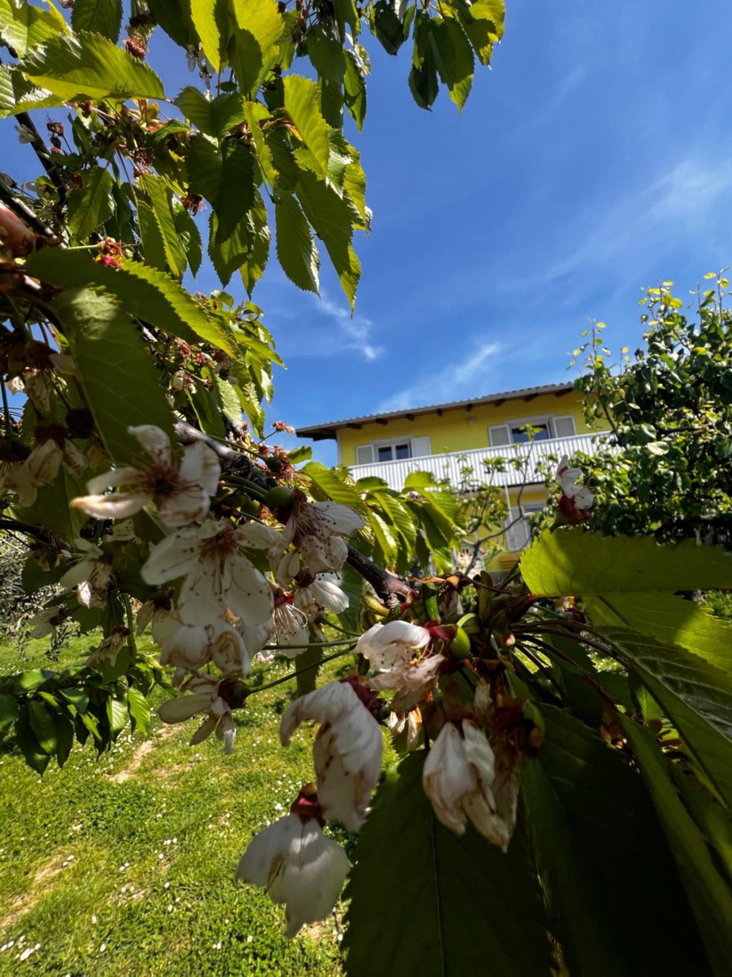 Na Kmetiji S Konji - Pogelsek Ankaran Exterior foto