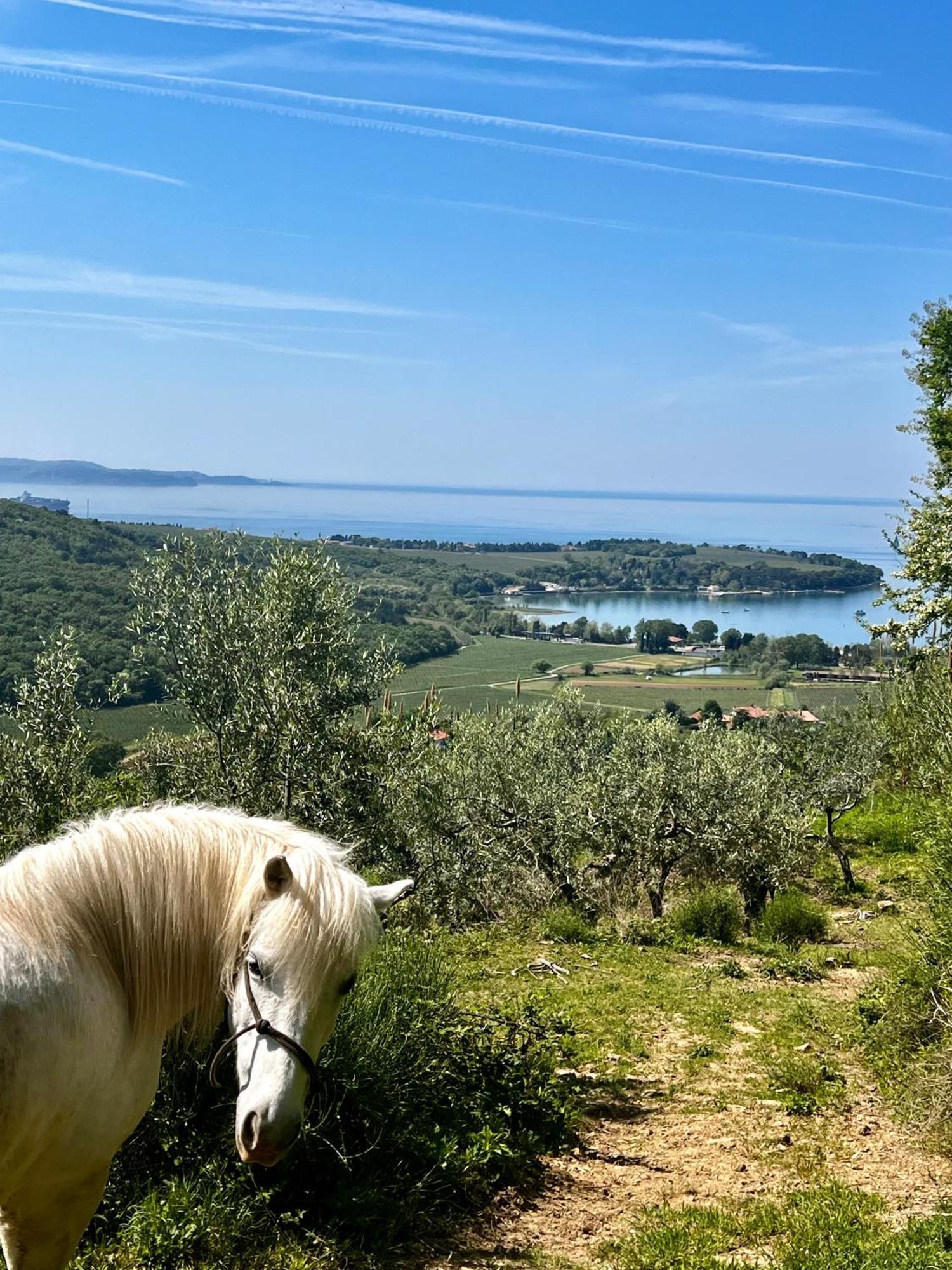 Na Kmetiji S Konji - Pogelsek Ankaran Exterior foto